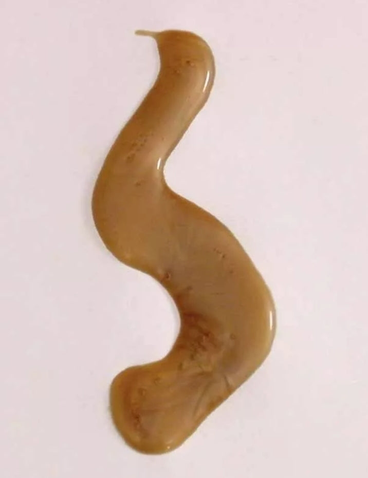DUDU-OSUM NATURAL SHAMPOO