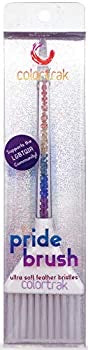 PRIDE TINT BRUSH | SUPPORTING LGBTQIA COMMUNITY