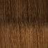 Bobbi Boss Synthetic Crochet Bomba Senegal Twist Curly Tips 14" - 2X