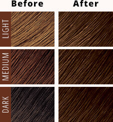 CRÈME OF NATURE MOISTURE-RICH PERMANENT HAIR COLOR