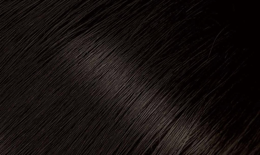 BIGEN PERMANENT POWDER HAIR COLOR