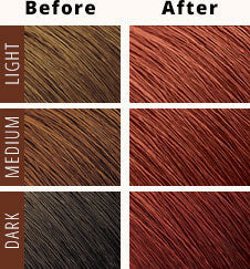 CRÈME OF NATURE MOISTURE-RICH PERMANENT HAIR COLOR