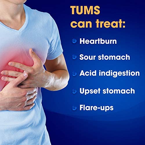 TUMS EXTRA STRENGTH 750 ASSORTED BERRIES