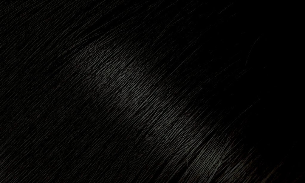 BIGEN PERMANENT POWDER HAIR COLOR