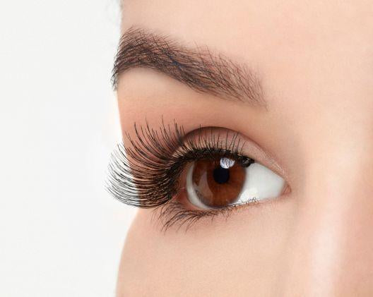 NATURAL BLACK LASHES #117