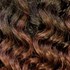 FREETRESS BRAID/BULK DEEP TWIST 22 INCH