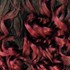 FREETRESS BRAID/BULK DEEP TWIST 22 INCH