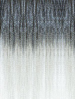 SENSATIONNEL 3X RUWA PRE-STRETCHED BRAID 24"