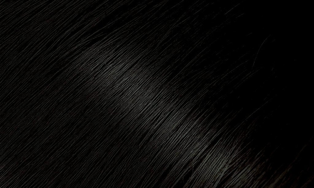 BIGEN PERMANENT POWDER HAIR COLOR