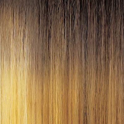 OUTRE HD LACE FRONT WIG - NEESHA 209
