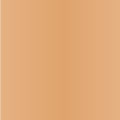 EBIN TINTED LACE AEROSOL SPRAY 2.7 OZ.