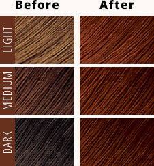 CRÈME OF NATURE MOISTURE-RICH PERMANENT HAIR COLOR