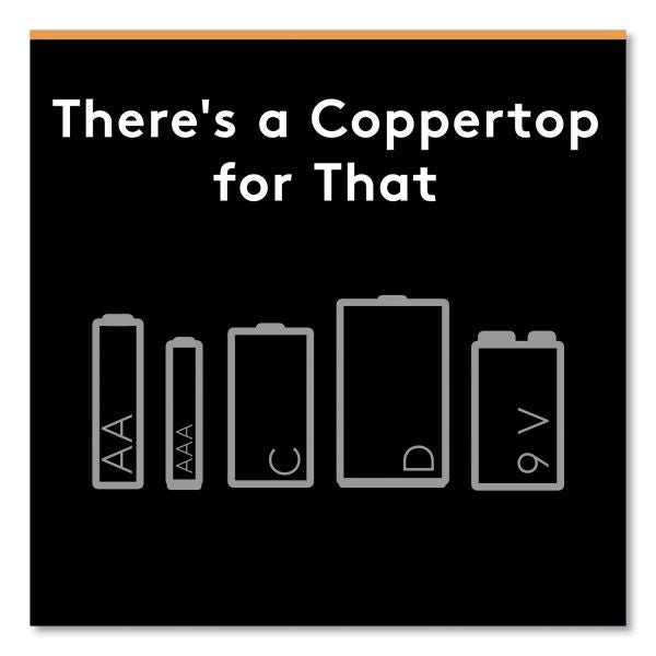 DURACELL COPPERTOP D ALKALINE BATTERIES 2/PACK